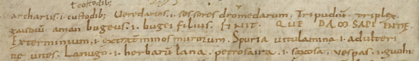 The Biblical glosses of Orléans